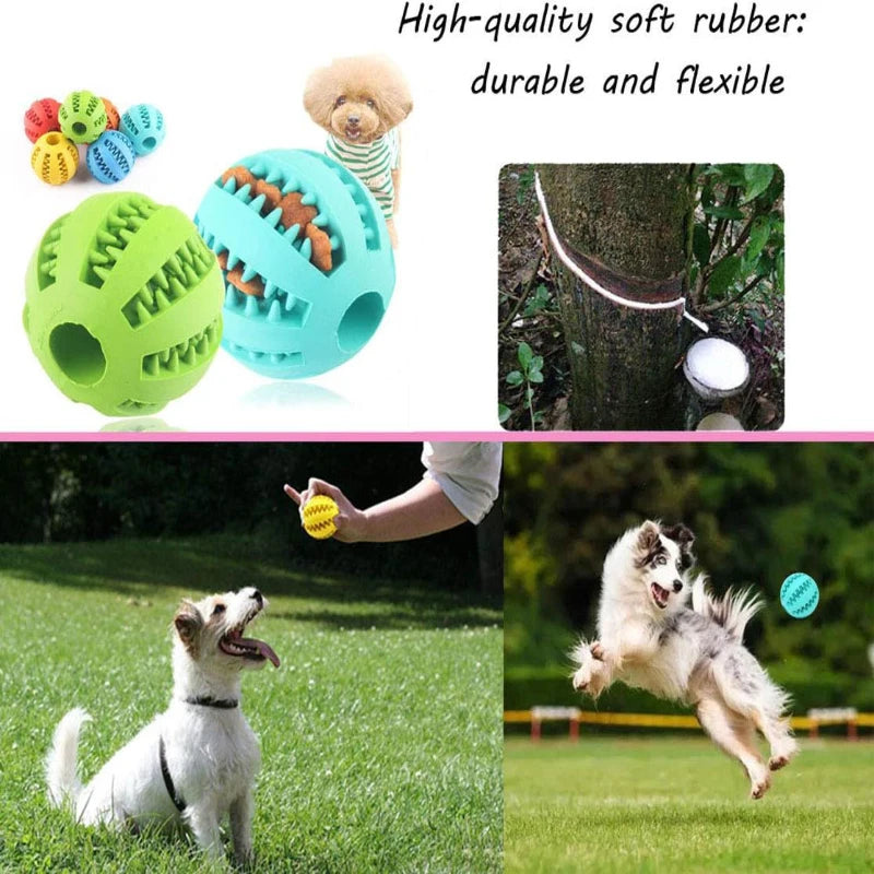 Pelota Interactiva de Goma para Mascotas